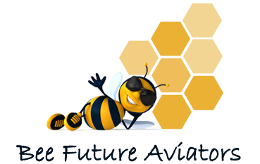 bee-future-aviators-logo